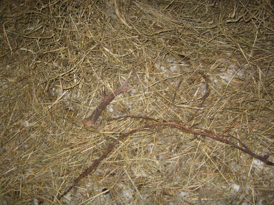 už jen čekám na druhej.