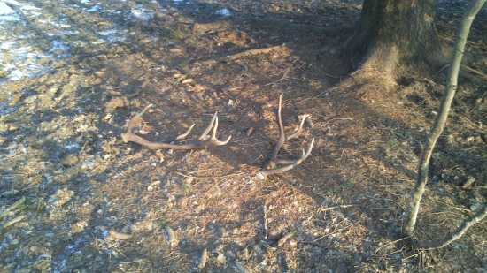 taaak dneska dvojitá radost 1/2013