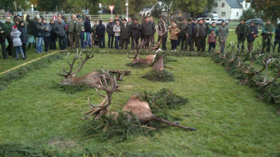 S.V.troubeni Libava!