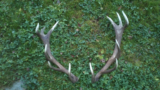 sezona 2013 at uz to zase zacnee