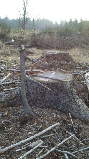 3/2014 dohledana druha pulka k ID  231163