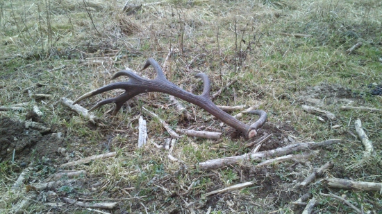 tuhle sezonu nejvetši