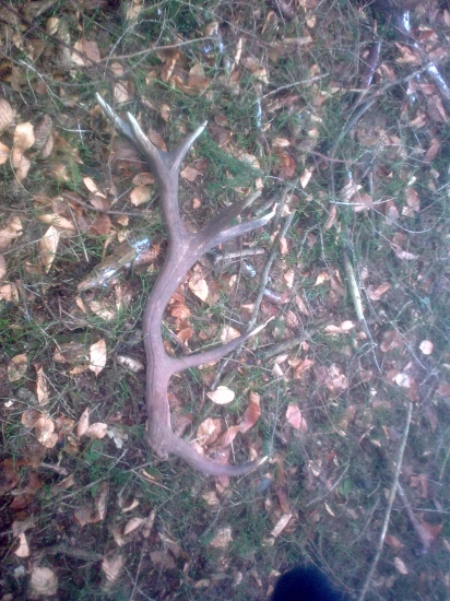 konecneeee! dnesni brzka prochazka