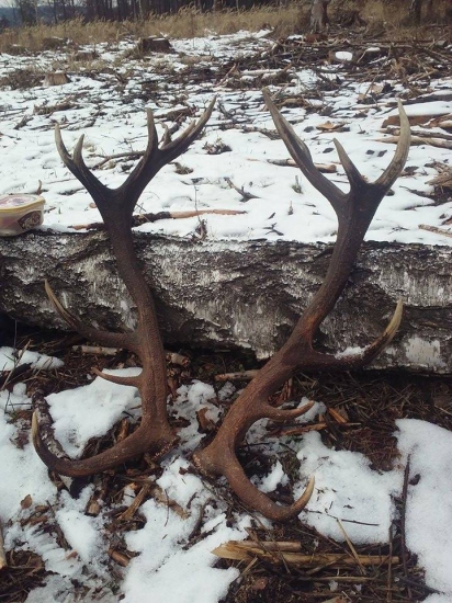 dnesni para nadhera jedna pulka 20terak