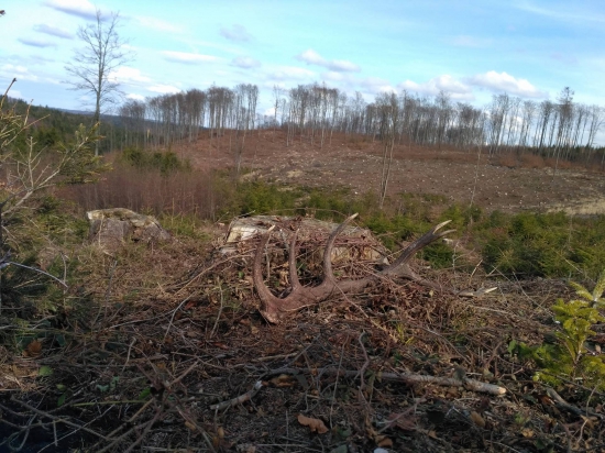 tak konecne prvni krasavec