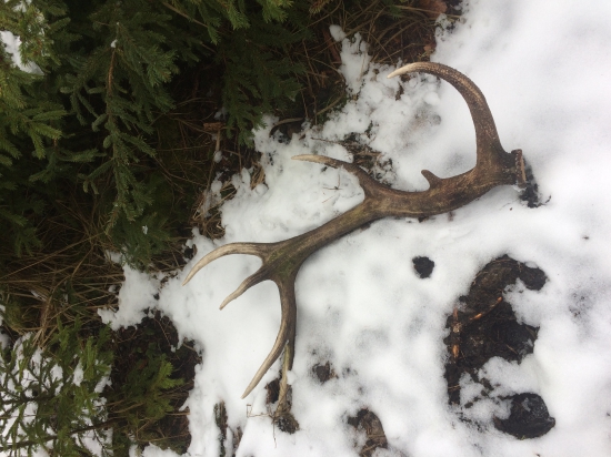 Čtrnácterak rok si poležel