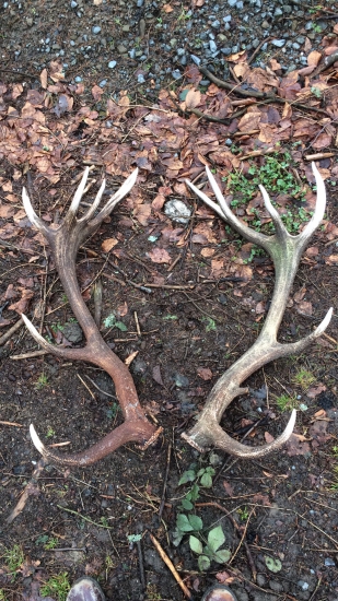 Tak po roku opět spolu