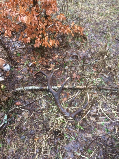 dnešní mokrá 16 ka