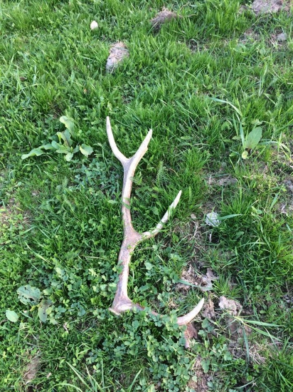 jeden  mensi prespolnak