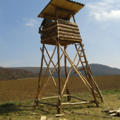 Nový