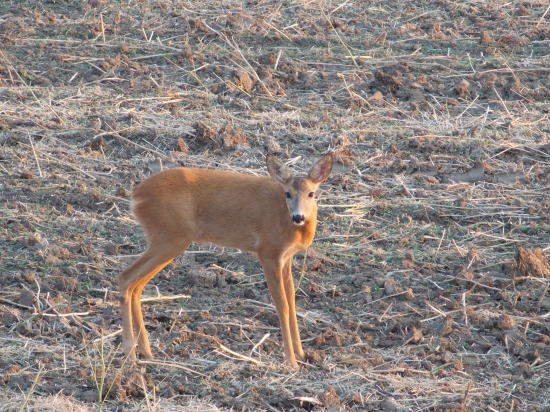 kto sa to namňa pozerá...