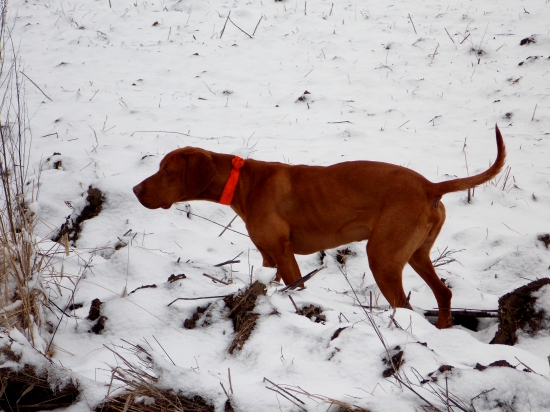 Asi tam niečo bude....