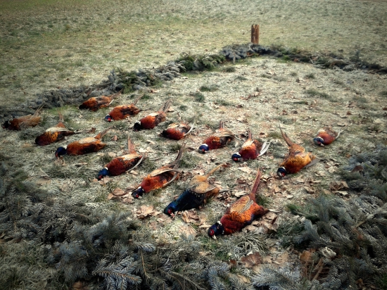 Spoločna na drobnu...