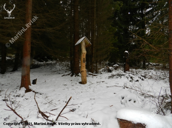 solisko