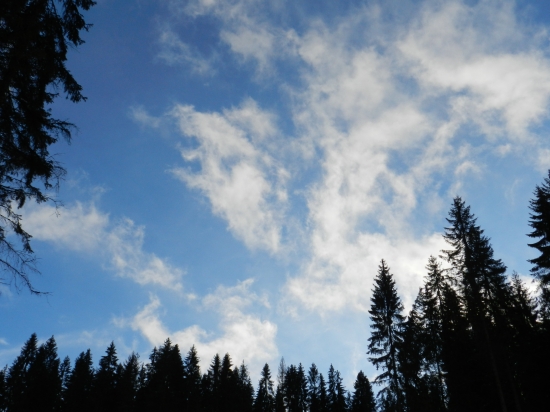 konečne modrejšia obloha