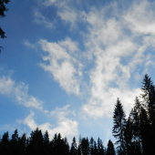 konečne modrejšia obloha