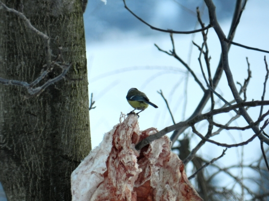 a nepozrem sa do foťáka!! :-)
