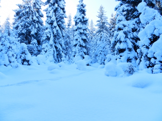 keď ho poriadne napadne