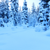 keď ho poriadne napadne