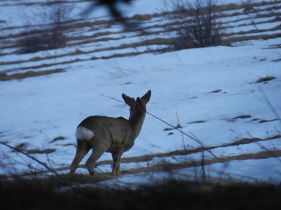 bol som dobre zamaskovaný