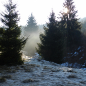 jarné ráno ako jesenné