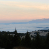 ráno