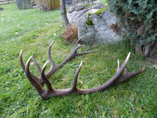 Konečne sú pokope..