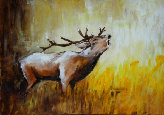 Večerná rýchlovka