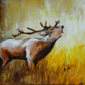 Večerná rýchlovka