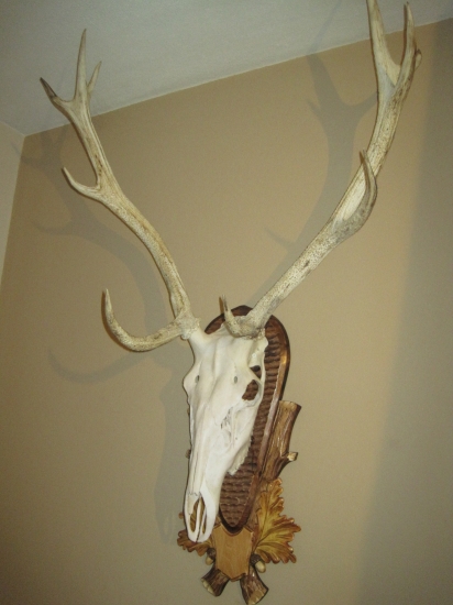 Prvá trofej na stene