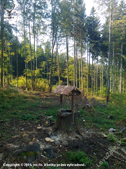 Soľník