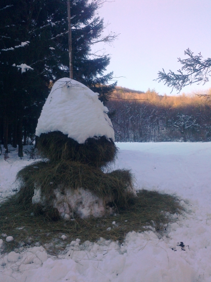 Zver obľubuje takto uskladnené a pripravené seno.