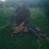 Milanov srnec