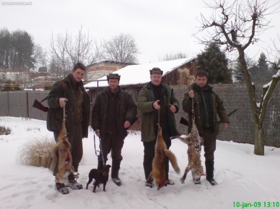 úspešná norovačka