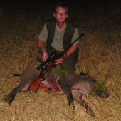 úspešná postrieška na repkovom strnisku