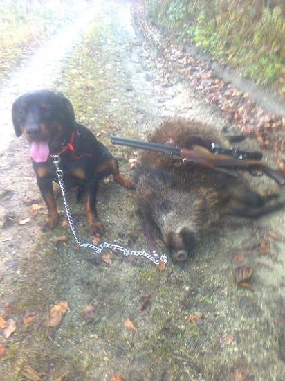 Odmena za dobrú robotu