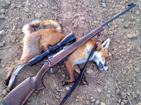 Dnešná na vzdialenosť 230m. 308 WIN, Norma Vulkan 180 GR