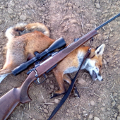 Dnešná na vzdialenosť 230m. 308 WIN, Norma Vulkan 180 GR