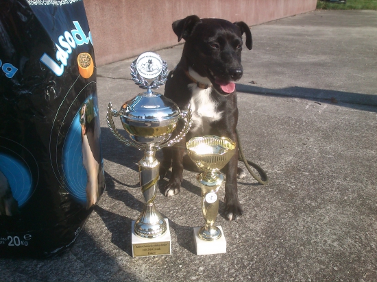 Klubové farbiarske skúšky duričov. II.miesto, 1.cena , CACT , CCT