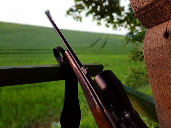 CZ 550 Lux