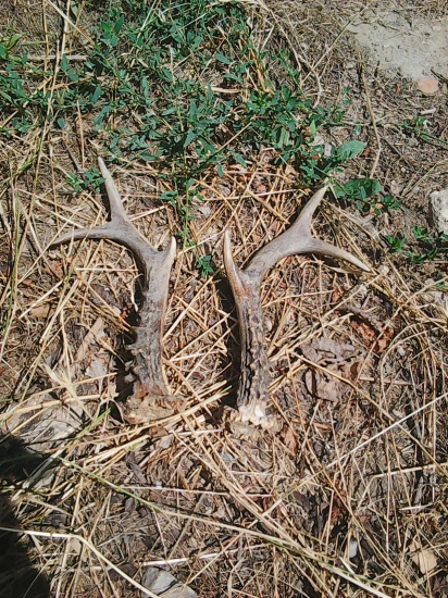 dnes pri snimani vo vinohrade