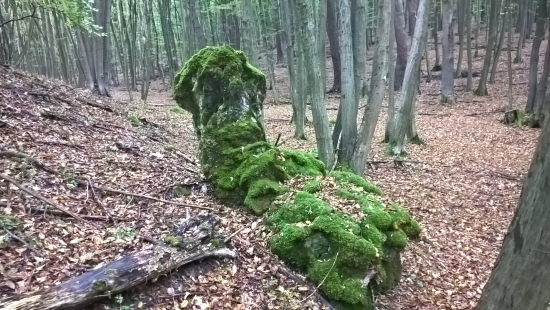 Krása skál
