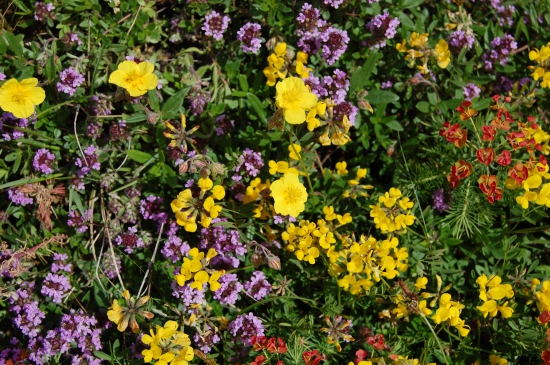 Paleta ktorú vymyslí len príroda