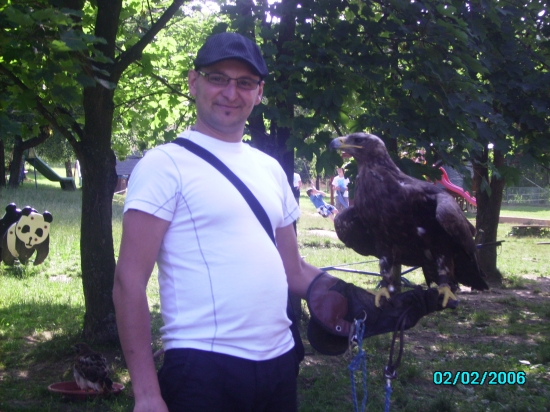 ukažka sokoliarstva