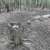 Staré, ale účelu slúži