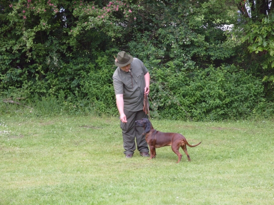 Esta z pučikovho dvora