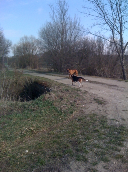 Prekvapenie v revíri