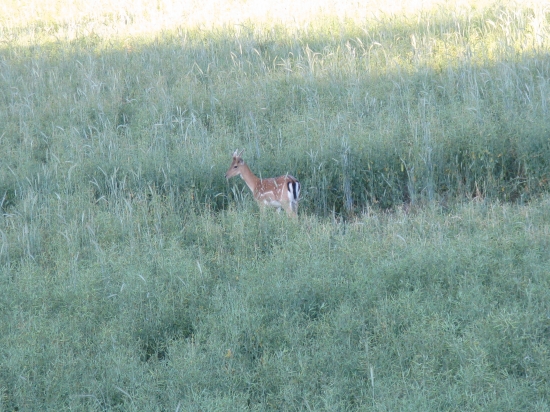 Ešte jedna foto a idem