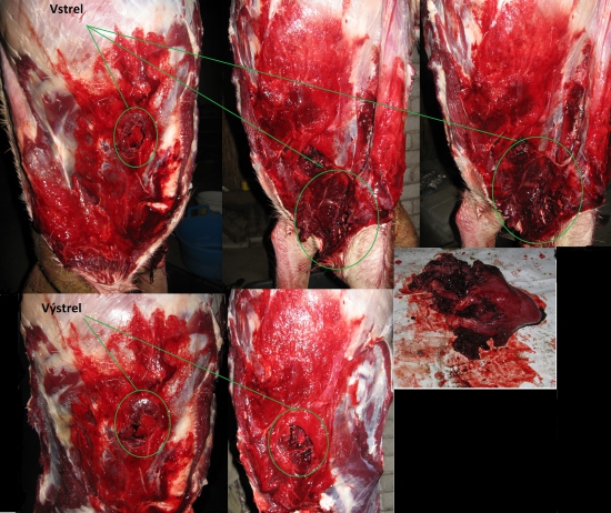 Norma Nosler Ballistic Tip - 9,7g. 308w