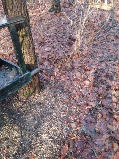 Odmena len pre bystrozrakých